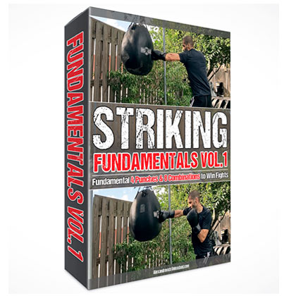Striking Fundamentals Vol1 Fundamental Four